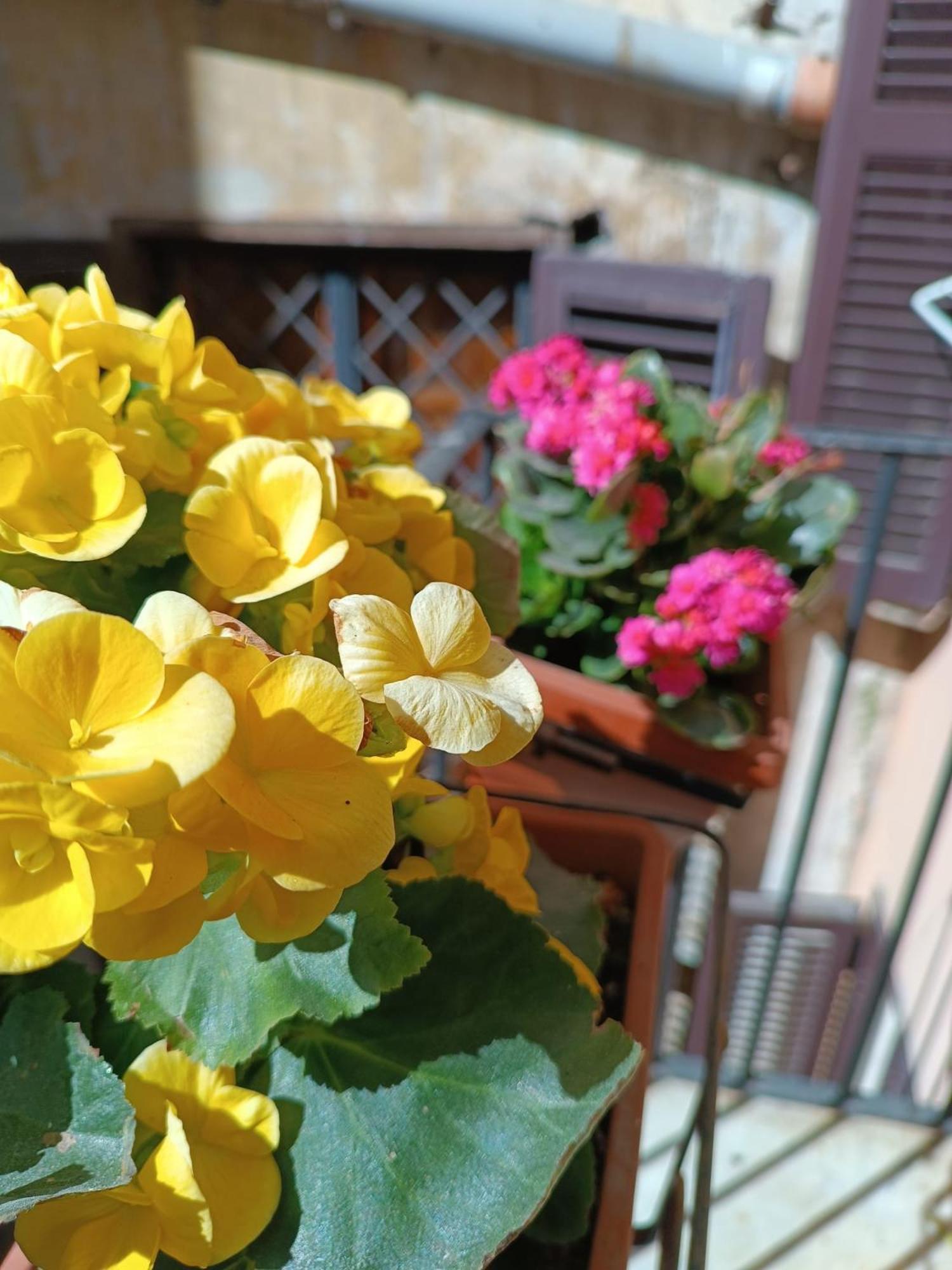 Elegant Rooms Roma - Guest House Ngoại thất bức ảnh